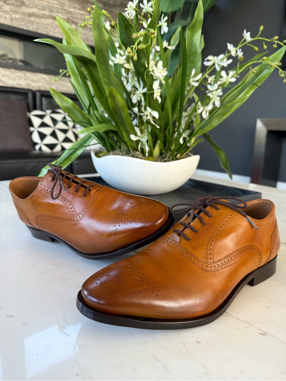 New Allen Edmonds Siena Medallion Oxford Dress Shoe Walnut Leather - Picture 12 of 15